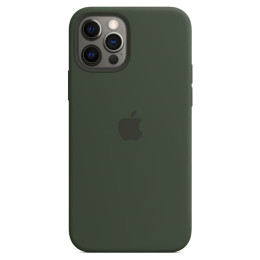 Чехол iPhone 12/12 Pro Silicone Case MagSafe Cyprus Green