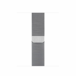 Apple Watch S6 40mm (Cellular) Silver Stainless Steel Case / Silver Milanese Loop