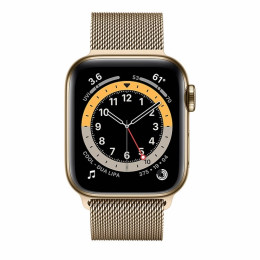 Apple Watch S6 40mm (Cellular) Gold Stainless Steel Case / Gold Milanese Loop