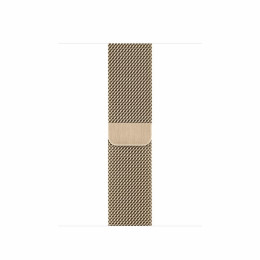 Apple Watch S6 40mm (Cellular) Gold Stainless Steel Case / Gold Milanese Loop