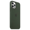 Чехол iPhone 12/12 Pro Silicone Case MagSafe Cyprus Green в рассрочку без первоначального взноса и переплат